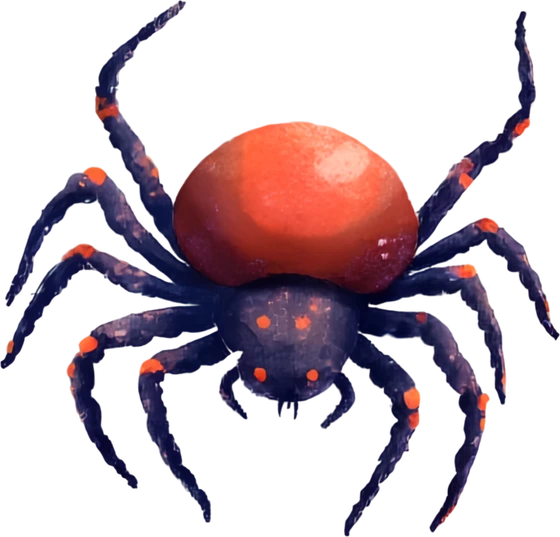 A dark blue spider with orange-tipped legs and an orange-red abdomen