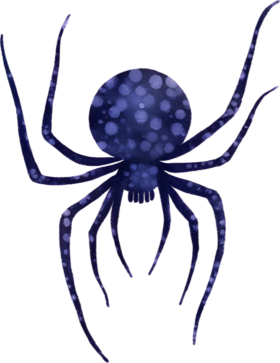 A black spider with pale spots, dangling on a thread